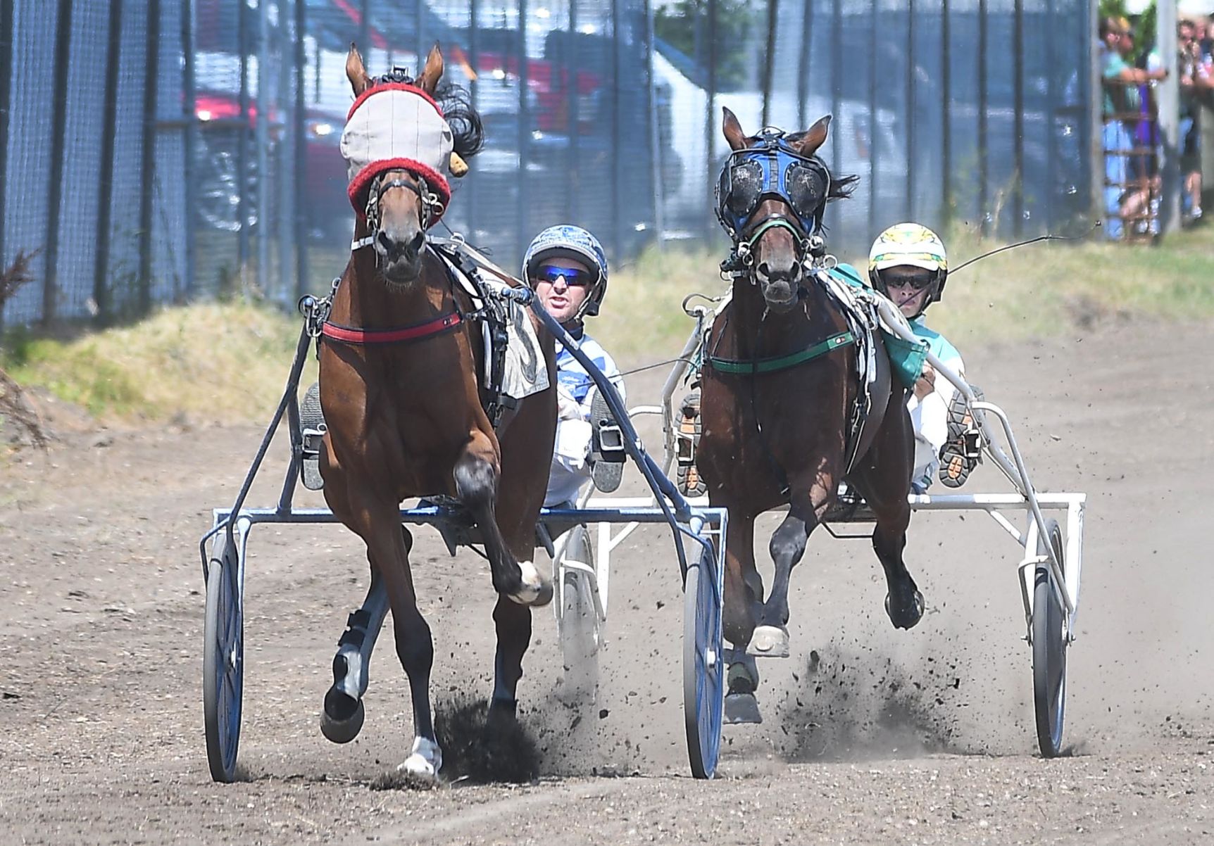 Harness racing 3